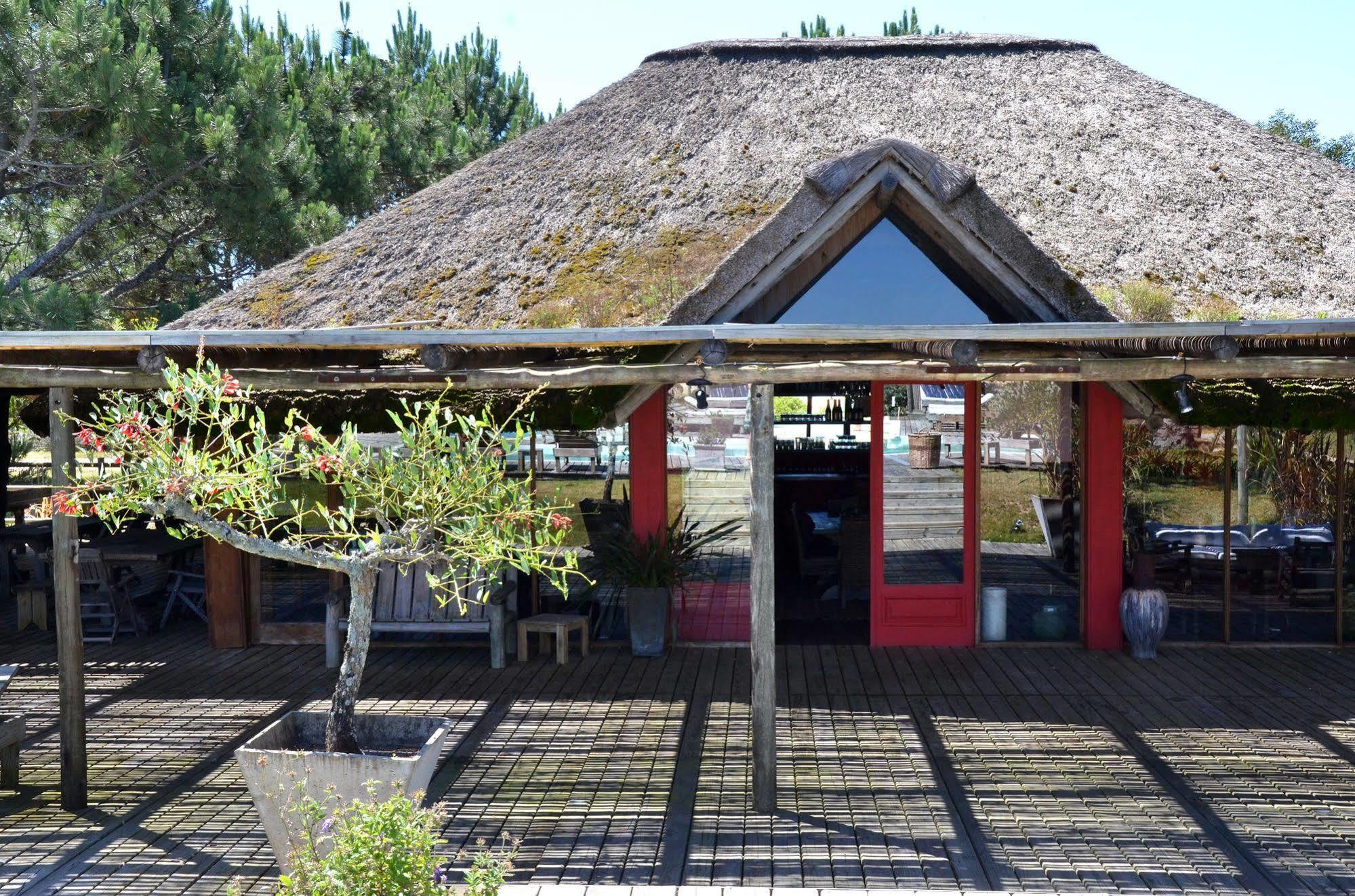 Casa Suaya Hotel José Ignacio Exterior foto