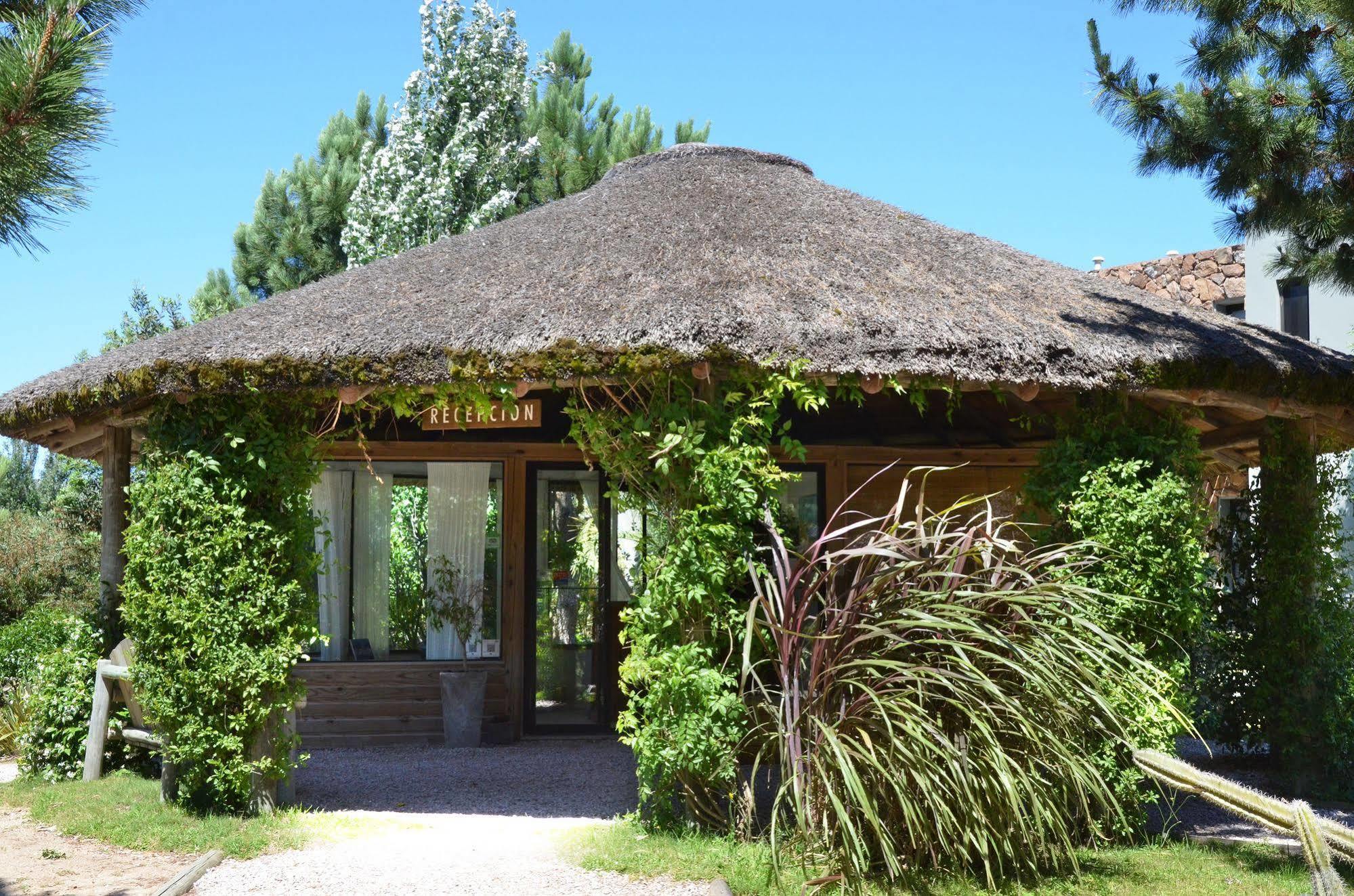 Casa Suaya Hotel José Ignacio Exterior foto